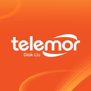 Professional Services - Telemor