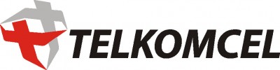 Professional Services - Telkomcel